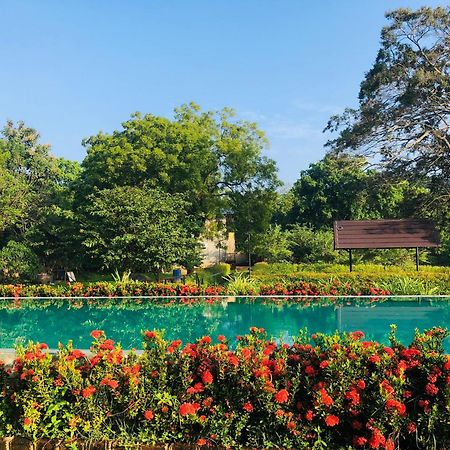 Lolu Village Resort Anuradhapura Eksteriør bilde