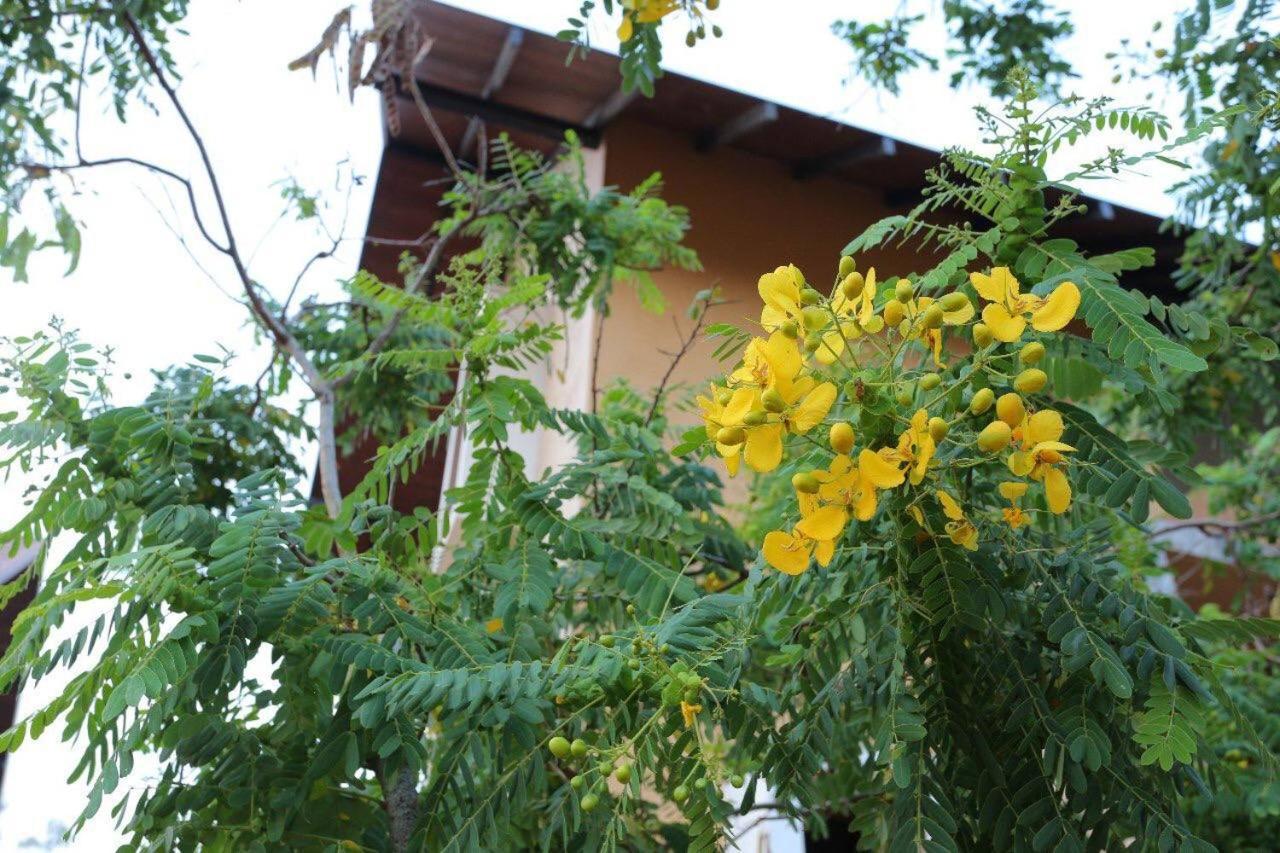 Lolu Village Resort Anuradhapura Eksteriør bilde